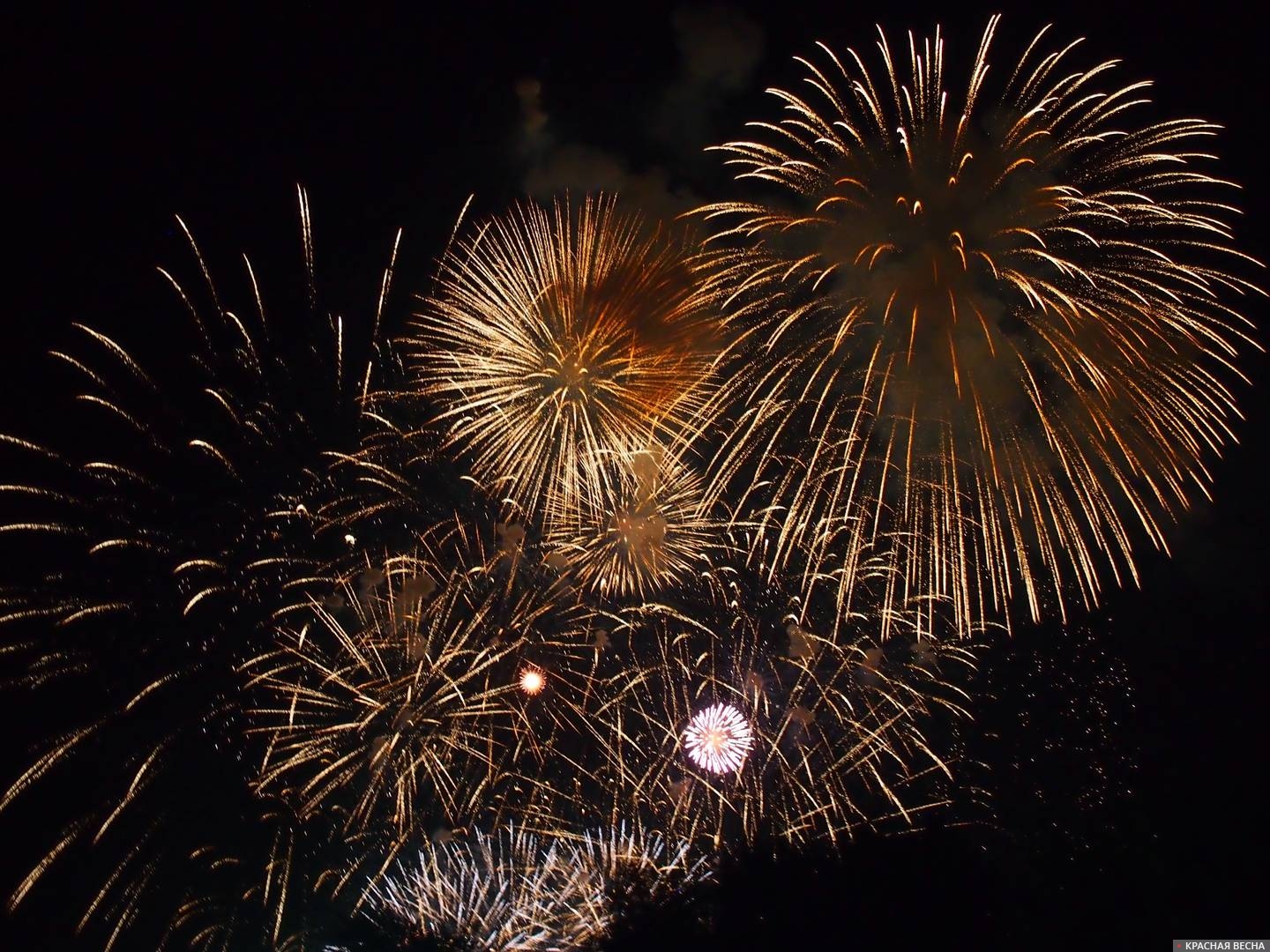 Сделайте новогоднюю ночь яркой!.jpg